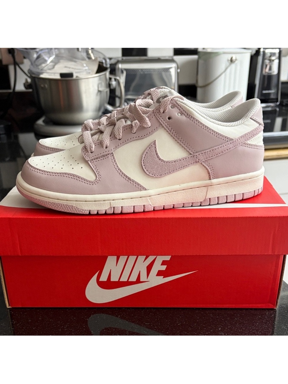 Nike Dunks Low-Top Sneakers in Dusty Pink and White